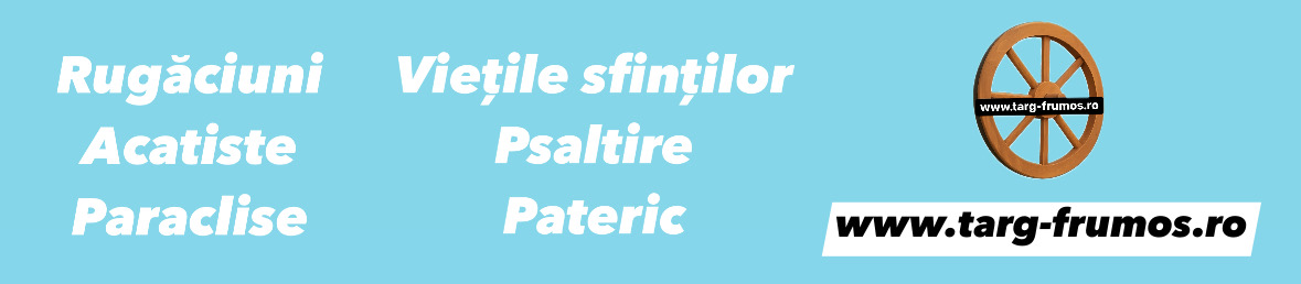 poza banner targ-frumos